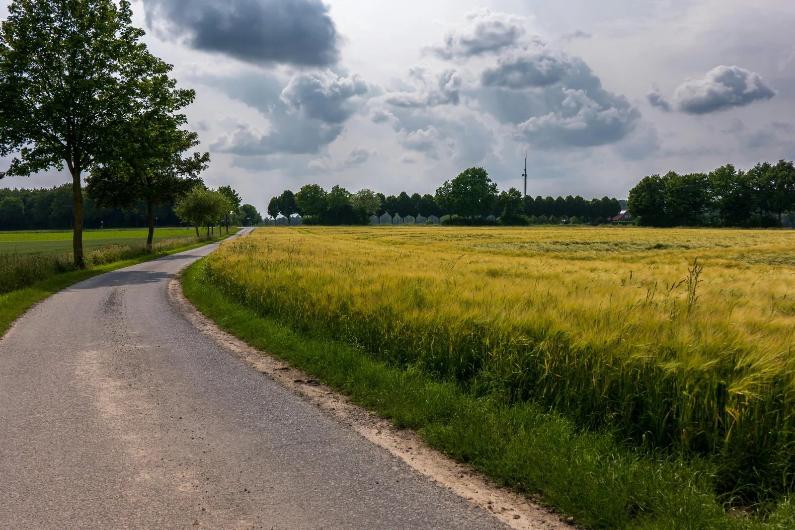 Feldweg neben einem bestellten Acker